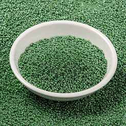 Cuentas de rocailles redondas miyuki&nbsp;SEED-G009-RR0431