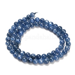 Perline Kyanite naturali fili&nbsp;G-H335-B04-6mm