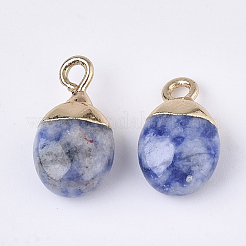 Charms diaspro elettrolitico a punto blu naturale&nbsp;G-S344-09I