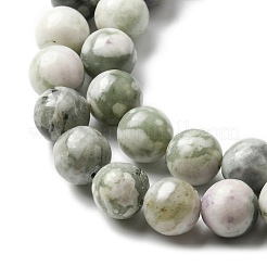 Natürliche Frieden Jade Perlen Stränge&nbsp;X-G-E598-04B
