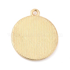 Pendentifs en alliage&nbsp;FIND-C037-15G-11