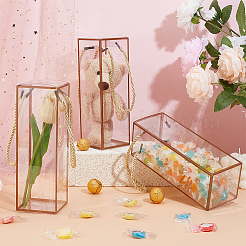 Transparente Geschenk-Trageboxen aus Haustierplastik&nbsp;CON-WH0085-61C-01