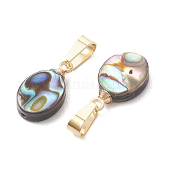 Abalone Muschel / Paua Muschel Anhänger&nbsp;PALLOY-JF05265