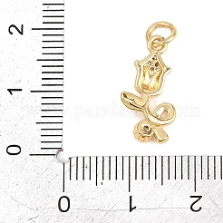 Pendentifs en laiton micro pavé de zircone cubique transparent pour la saint-valentin&nbsp;KK-D258-07G-02