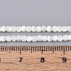 Natürliche Trochidschale / Trochusschalenperlenstränge&nbsp;BSHE-T014-52A-01