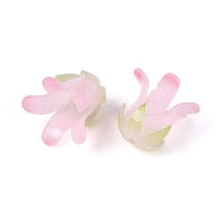Capuchons de perles en acrylique thermorétractables&nbsp;OACR-N155-04B