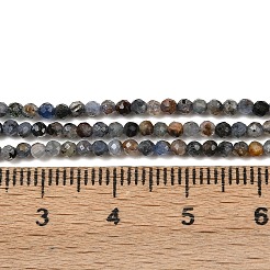 Natürliche kyanit / cyanit / disthen perlen stränge&nbsp;G-D347-A02-2mm