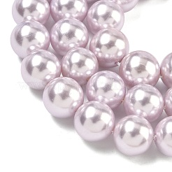 Perles de perles de coquille galvanoplastie&nbsp;BSHE-G041-14mm-06