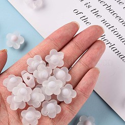 Perles en acrylique transparente&nbsp;LS-TACR-S152-09C-06