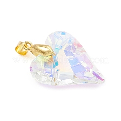 Ab Farbe überzogen Glas-Anhänger&nbsp;PALLOY-JF04736-02