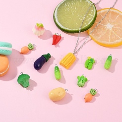 30pcs 10 styles de pendentifs en résine&nbsp;RESI-YW0004-20