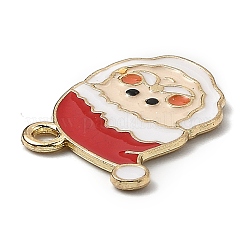 Pendentifs d'émail en alliage&nbsp;ENAM-Z001-01G