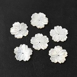 Natürlichen weißen Muschelperlen&nbsp;SHEL-M021-08A