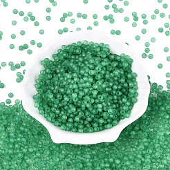 Perles de rocaille en verre transparent dépoli fgb&nbsp;SEED-N013-02A-09