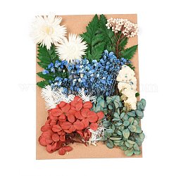 Flor seca, para despedida de soltera, boda, flor fresca conservada, colorido, 210x148x14~24.5mm