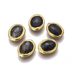 Perles fossiles noires naturelles, avec les accessoires en laiton plaqués or, ovale, 23~25x18~20x7~8mm, Trou: 0.8mm