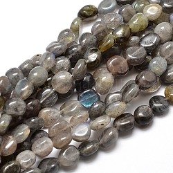 Natural Labradorite Nuggets Beads Strands, Tumbled Stone, 4~8x6~9x5~7mm, Hole: 1mm, about 15.3 inch~15.7 inch