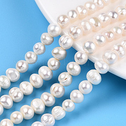 Fili di perle di perle d'acqua dolce coltivate naturali, patata, colore conchiglia, 6.5~9x6.5~7.5mm, Foro: 0.6 mm, circa 52~54pcs/filo, 13.58~13.98 pollice (34.5~35.5 cm)