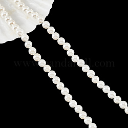 Cuentas de concha naturales blancos mechones, perla de concha de nácar, redondo, blanco antiguo, 6mm, agujero: 1 mm, aproximamente 65 pcs / cadena, 15.67'' (39.8 cm)