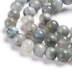 Naturadlerauge Perlen Stränge, Runde, 6 mm, Bohrung: 1 mm, ca. 65 Stk. / Strang, 15.55 Zoll (39.5 cm)