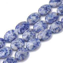 Natural Blue Spot Jasper Beads Strands, Faceted, Oval, 18~18.5x13~13.5x5mm, Hole: 1mm, about 22pcs/strand, 15.7 inch
