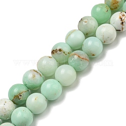 Chapelets de perles en opale vert naturel, teinte, ronde, 8mm, Trou: 0.8mm, Environ 48~49 pcs/chapelet, 15.35~15.59'' (39~39.6 cm)