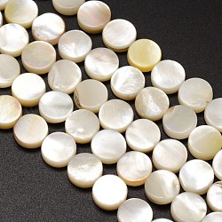 Coquille d'eau douce naturelle brins de perles rondes plates, 8x3mm, Trou: 1mm, Environ 50 pcs/chapelet, 16.1 pouce