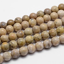 Natural Fossil Coral Beads Strands, Grade A, Round, 12mm, Hole: 1mm, about 33pcs/strands, 15.7 inch