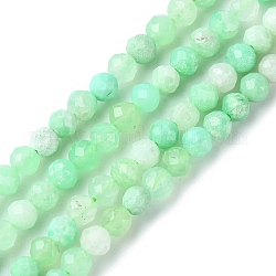 Brins naturels de perles de chrysoprase, facette, ronde, 4mm, Trou: 0.8~1mm, Environ 103~105 pcs/chapelet, 15.35~15.55 pouce (39~39.5 cm)