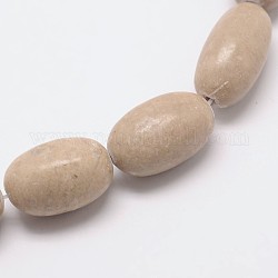 Natural Gemstone Barrel Bead Strand, 23x14.5mm, Hole: 1mm, about 17pcs/strand, 14.9inch