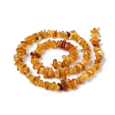 Natürliche Bernstein Chip-Perlen Stränge&nbsp;G-E271-81-1