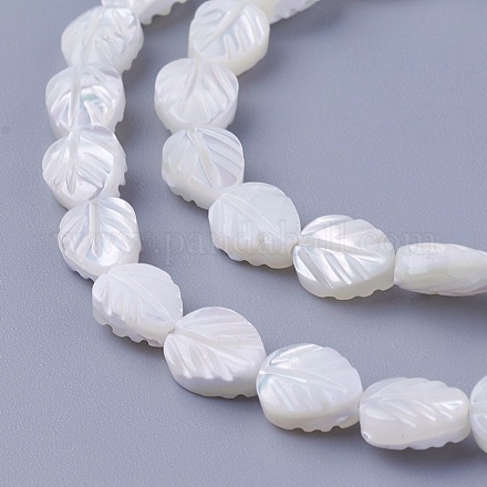 Chapelets de perles de coquillage SSHEL-E571-33-1