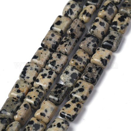 Chapelets de perles en jaspe dalmatien naturelle G-Z006-B08-1