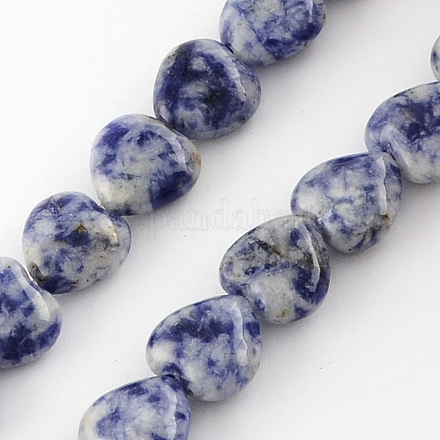 Natürliche blaue Fleck Jaspis Perlenstränge G-R190-20mm-04-1