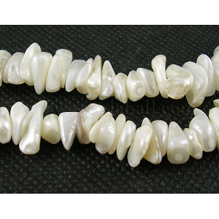 Shell perle naturali fili X-SHZ001-1