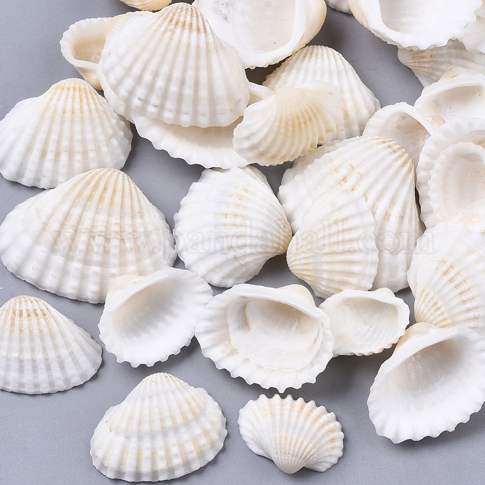 Dans Quel Coquillage Trouve T On Des Perles Perles en coquillage naturel en gros pour création de bijoux - Fr