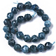 Natural Apatite Beads Strands G-N327-03B-02-2