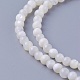 Natural Shell Beads Strands X-SSHEL-E571-39-4mm-1