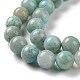 Natural Amazonite Beads Strands G-S362-82B-4