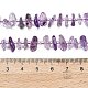 Natürlichen Amethyst Perlen Stränge&nbsp;G-Z124-A01-02-5