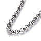 304 Stainless Steel Rolo Chain Necklaces NJEW-F242-12P-D-2
