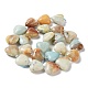 Brins de perles d'amazonite de fleurs naturelles X-G-E614-A21-01-2