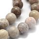 Natural Fossil Coral Beads Strands G-G763-12-8mm-3
