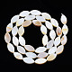 Eau douce naturelle de coquillage perles brins SHEL-Q024A-017-3