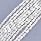 Perles de coquillage blanc naturel SHEL-T012-49B-1