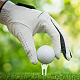 Kunststoff-Golfballhalter fünf Klauenstiftwerkzeug AJEW-WH0241-44B-5