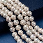 Perle baroque naturelle perles de perles de keshi, perle de culture d'eau douce, pépites rondes, beige, 10~12mm, Trou: 0.5mm, Environ 37 pcs/chapelet, 15.7 pouce