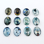 Wolf Pattern Glass Oval Flatback Cabochons for DIY Projects, Mixed Color, 25x18x5mm