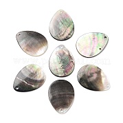 Подвески из натуральных черных ракушек SHEL-D082-01B