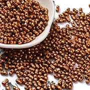 Выпечка краска стеклянные бусины SEED-L011-12A-01